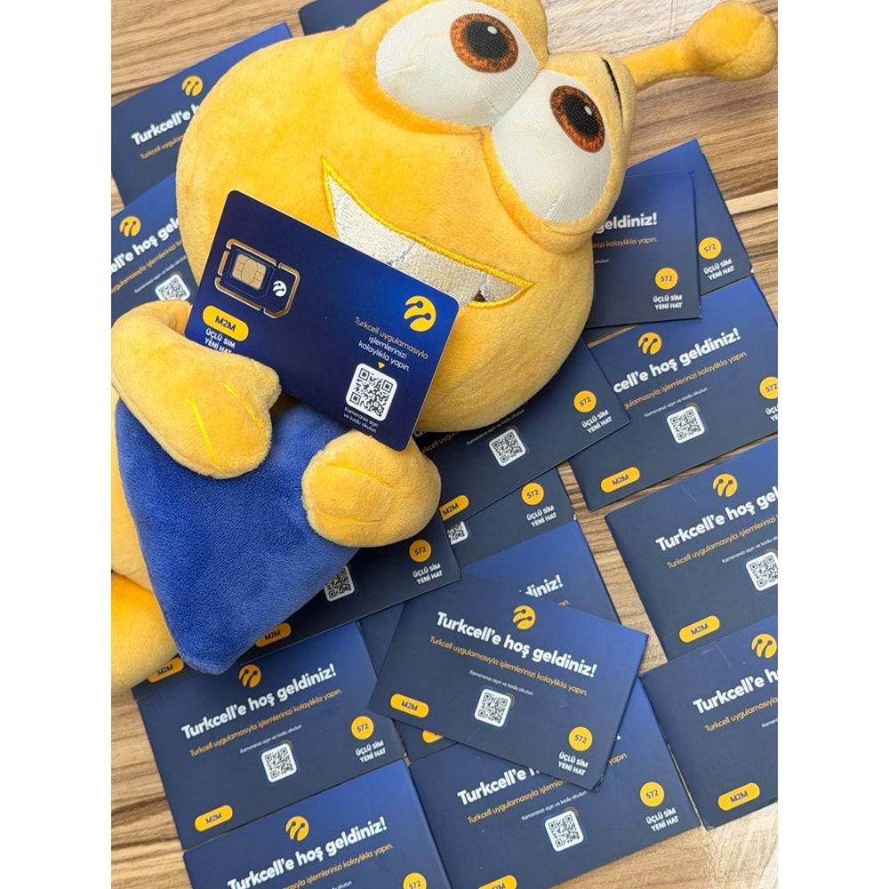 TURKCELL 8 VE 5 GB 12 AYLIK DATA HAT