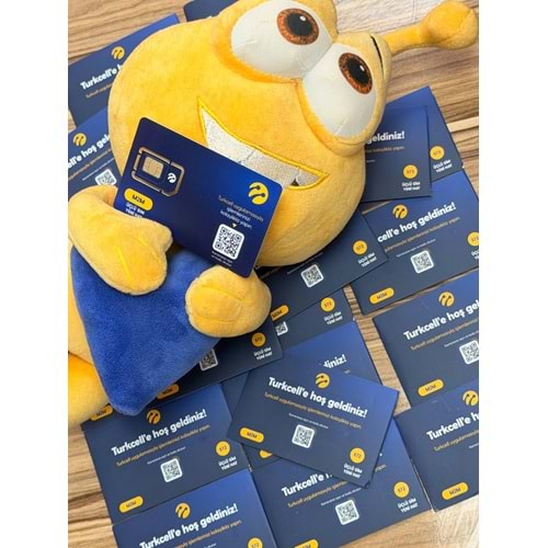 TURKCELL 8 VE 5 GB 12 AYLIK DATA HAT
